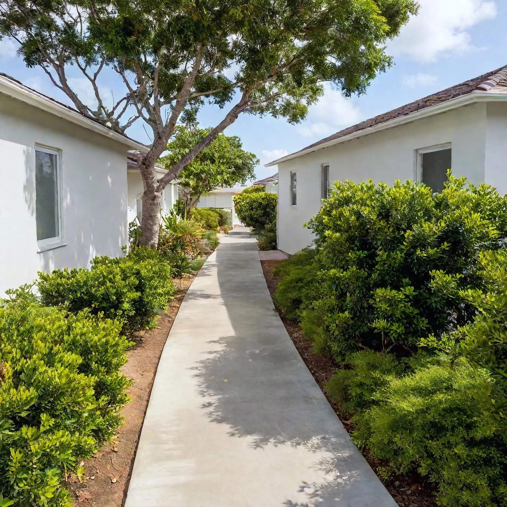 A finished concrete pathway
